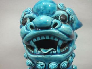 A GOOD CHINESE TURQUOISE PORCELAIN FIGURE OF A SEATED DOG OF FOE 19thC 2