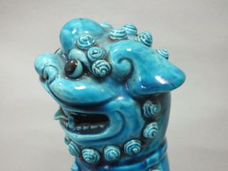 A GOOD CHINESE TURQUOISE PORCELAIN FIGURE OF A SEATED DOG OF FOE 19thC 3