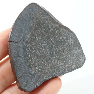 36g Rare Chondrite Meteorite Crust Meteorit Chondrit Slice Ql A4330