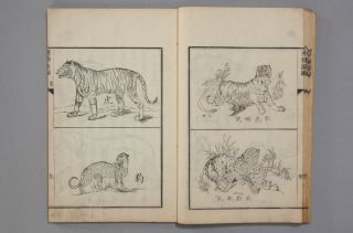 Japanese Woodblock Print Book Meiji Era Antique Science Book Hobson Animals