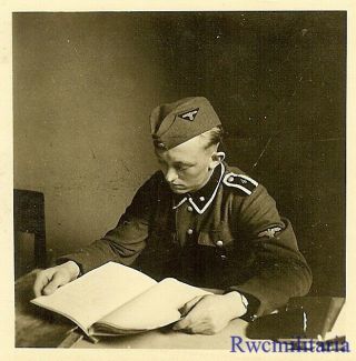 Rare Young German Elite Waffen Unterscharführer Reading At Desk
