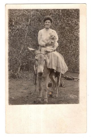 Antique Real Photo Post Card Lady Riding A Donkey And Holding A Small Poodle Dog