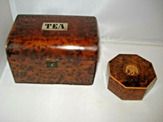 Antique Vintage Wooden Hexagonal Bird Trinket Box & Tea Caddy Treen Burr Veneer