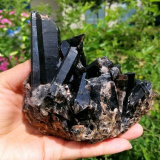 508g Natural Beauty Rare Black Quartz Crystal Cluster Mineral Specimen Fca494