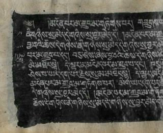 1 Leaf Huge Tibetan Buddhist Sutra Manuscript Black With White Ink