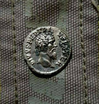 Rome Ancient Silver Denarius Divus Pertinax Ad 193.  Very Rare