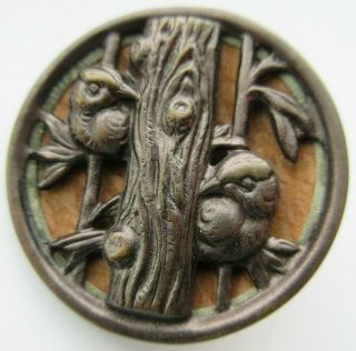 Fabulous Xl Antique Wood Back Metal Picture Button Birds In Tree (j)