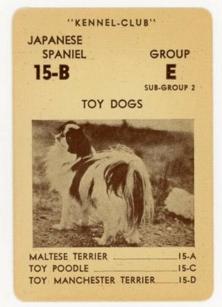 1939 Rare Akc Usa Dog Card Japanese Chin Japanese Spaniel American Kennel - Club