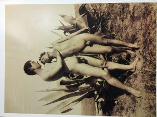 Wilhelm Von Gloeden posterbook Nude Males 6 posters.  Out of print,  gay interest 3