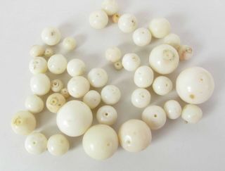 Group Of 42 Graduated Antique White Coral Beads 16.  5 To 4 Mm 50.  7 Grams