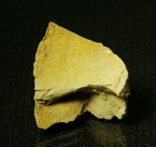 Haynesite Rare Uranium Mineral Powdery Crusts On Tn Matrix Repete Mine,  Utah