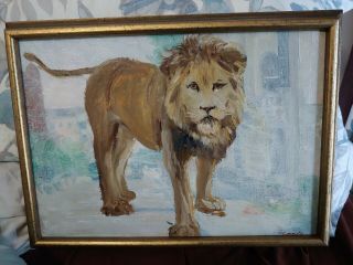 Vintage Oil Painting Of A Lion Signed Framed.
