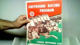 Rare 1952 Greyhound Racing Program Tijuana Club Caliente Race Track