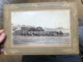 Rare 1900’s Western? Photo Of 16 Team Horse Wagon Hauling Cargo