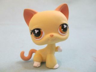 Littlest Pet Shop Yellow Kitten Cat Clover Eyes 533 Rare Authentic
