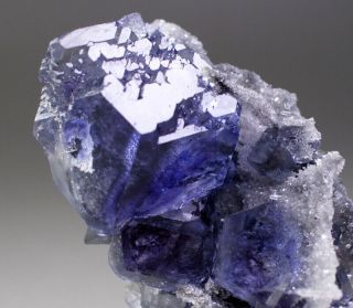 Rare Vivid Purple/Blue Tanzanite Fluorite Cluster,  Quanzhou,  Fujian,  China 3