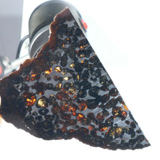 50g Slice meteorites,  Rare slices of Kenyan Pallasite olive meteorite B28 3