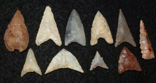 10 Quality Sahara Neolithic Triangular Tools,  Diverse,  Some Rare Styles