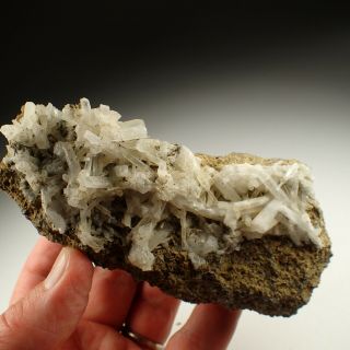 Natrolite Crystals On Matrix Rare Locality Techlovice,  Czech Republic