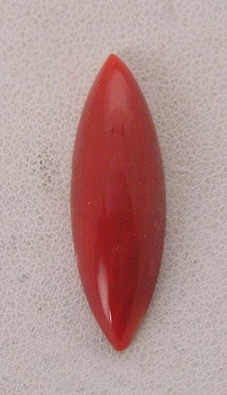 Rare Vintage 6.  16cts 26mmx13mm Marquise Natural Red Oxblood Loose Coral Cabochon