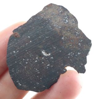 10g Rare Chondrite Meteorite Nwa Unclassified Meteorit Chondrit Slice A4426