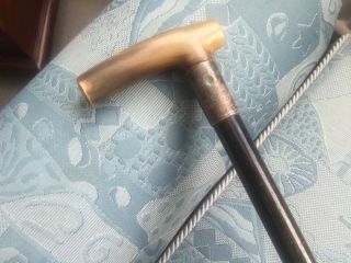 Victorian walking stick with a silver ferrule engraved 1895 2