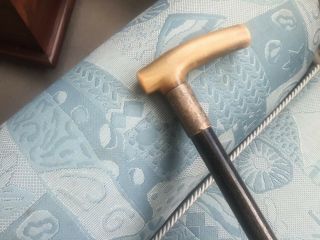 Victorian walking stick with a silver ferrule engraved 1895 3