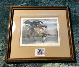 Rare Vintage Signed Numbered David Maass 1984 Texas Wood Duck Print Stamp Framed