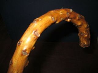 Usmb.  26: Antique Rare Open Knotty Wood Handle Folk Art Walking Stick Cane