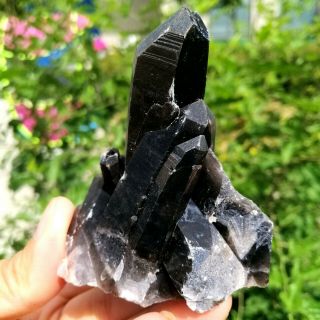 172g Natural Beauty Rare Black Quartz Crystal Cluster Mineral Specimen Fca483