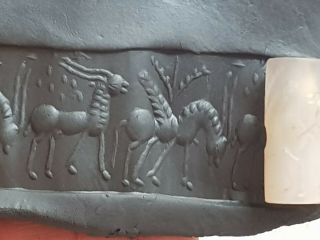 Extremely Rare Intact Ancient Cylinder Seal 300 Bc 10.  0 Gr.  29 Mm