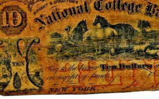 $10 (horses) " International College Bank " (rare) $10 " International Bank " $10