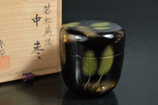 T2155: Japanese Wooden Pine Gold Lacquer Pattern Tea Caddy Natsume W/signed Box