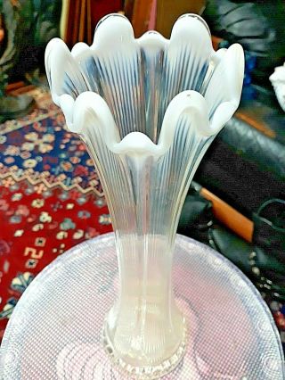 Antique 1907 Fenton Swung Vase Clear With White Opalescent Top - 12 " Tall Wow