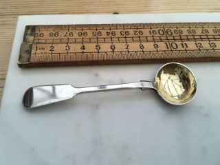Antique Silver Mustard Spoon,  Antique Scottish Silver Mustard Spoon,  James Smith