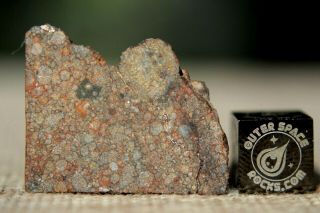 Nwa 10699 Ll (l) 3 Primitive Chondrite Meteorite 5.  4g Part Slice Of Rare Type
