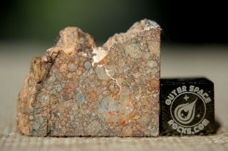 NWA 10699 LL (L) 3 Primitive Chondrite Meteorite 5.  4g part slice of rare type 2