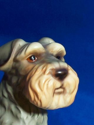 Antique - VTG Bisque Porcelain Schnauzer Dog Figure Large 6 