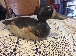 Rare Antique 1910 Flambeau Carved Mason Hen Bluebill Duck Decoy