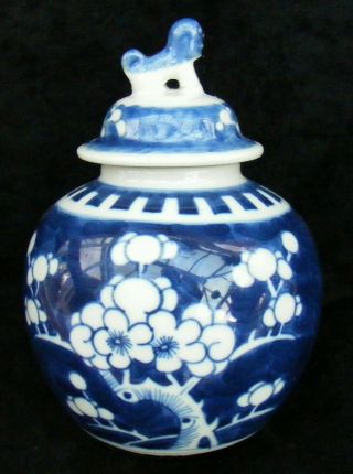 Chinese Ginger Jar - Prunus Pattern - 10cm High - C 1920