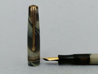 Vintage Snakeskin Piston Fountain Pen F Gp Nib Rare