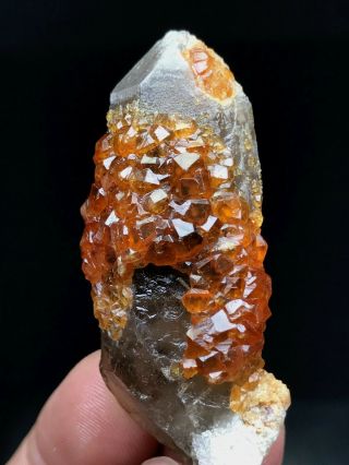 21g Natural Gules Fanta Spessartine Garnets Smoke Crystal Rare Specimen China