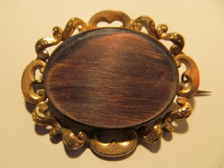Antique Pre - Civil War Mourning Brooch With Hair - Named & Dated 1849