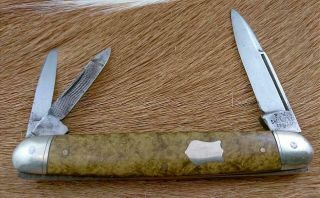 Rare Vintage F.  W.  Sheldon Pocket Knife Awesome Mottled Scales Whittler