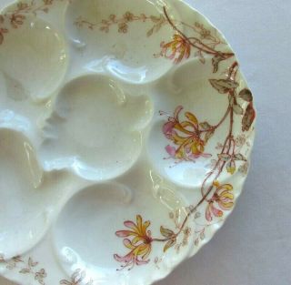 ANTIQUE HAVILAND CO.  LIMOGES OYSTER PLATE HAND PAINTED FLORAL 2