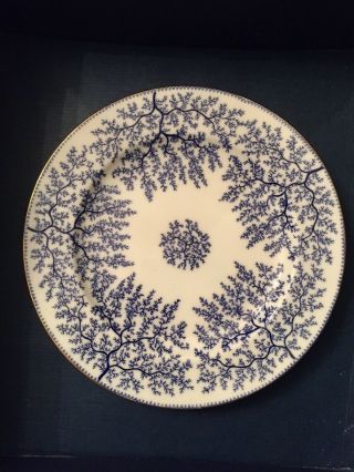 Antique Minton Porcelain Blue Seaweed Dinner Plate Gold Rim - Fibre