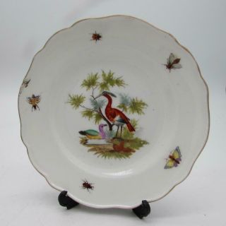Antique 19thc Meissen Porcelain Plate - Hand Painted Birds