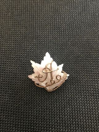 Antique Victorian Carved Oak Leaf Mother Of Pearl Initial “a” Pin