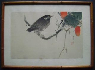 Shotei Watanabe Japanese Woodblock Print Starling And Snake Gourd Rare &