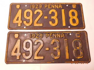 Match Pair Antique 1929 Penna Pa Pennsylvania License Plates 492 - 318